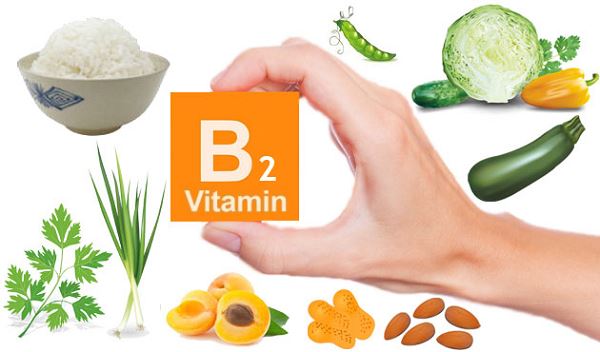 Vitamin B2 Vitamin B2