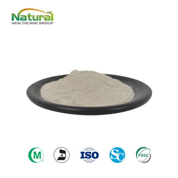 Ấn Độ Psyllium Husk Powder