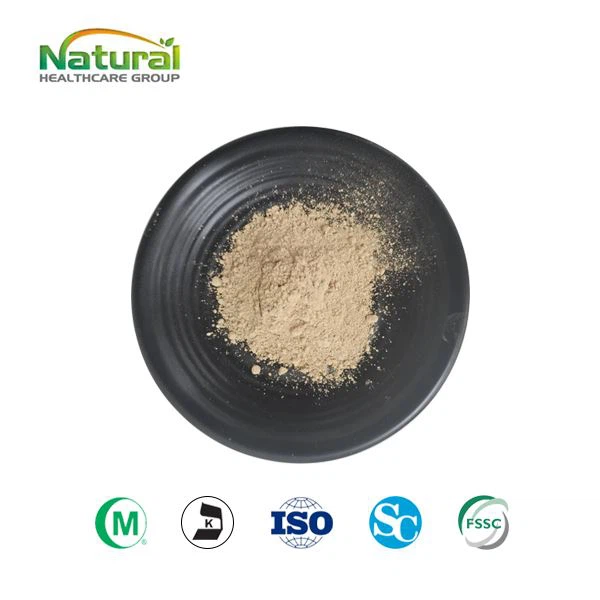 Bột chiết xuất vỏ cây mộc lan