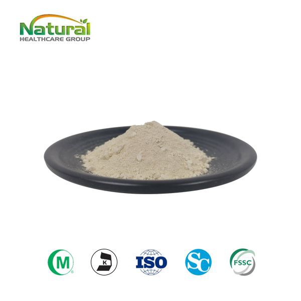 Bột Garcinia Cambogia HCA
