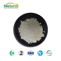 Bột protein gạo tốt nhất