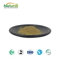 Bột chiết xuất từ lá cây tầm ma