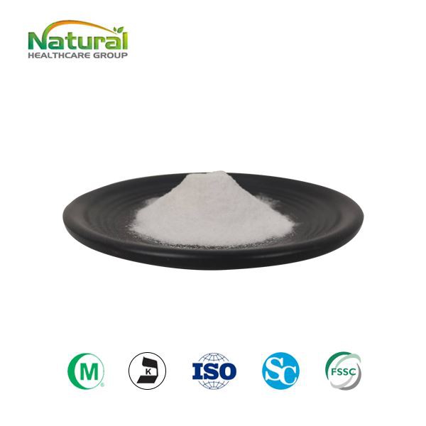 Bột chiết xuất cỏ ngọt