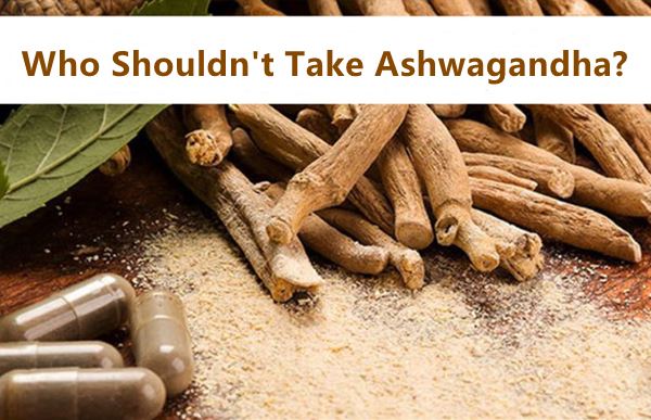 Ai không nên dùng Ashwagandha?