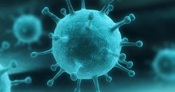 Echinacea có thể thực sự chống lại virus cúm không?