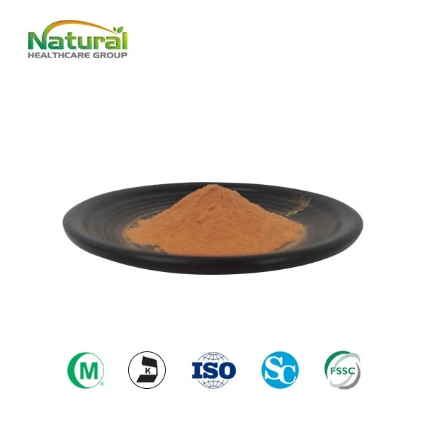 Bột Lutein nguyên chất