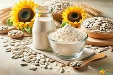 Bột protein hạt hướng dương hữu cơ Vs Bột protein hạt bí ngô hữu cơ