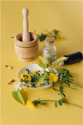 Làm thế nào để sử dụng chiết xuất Celandine?